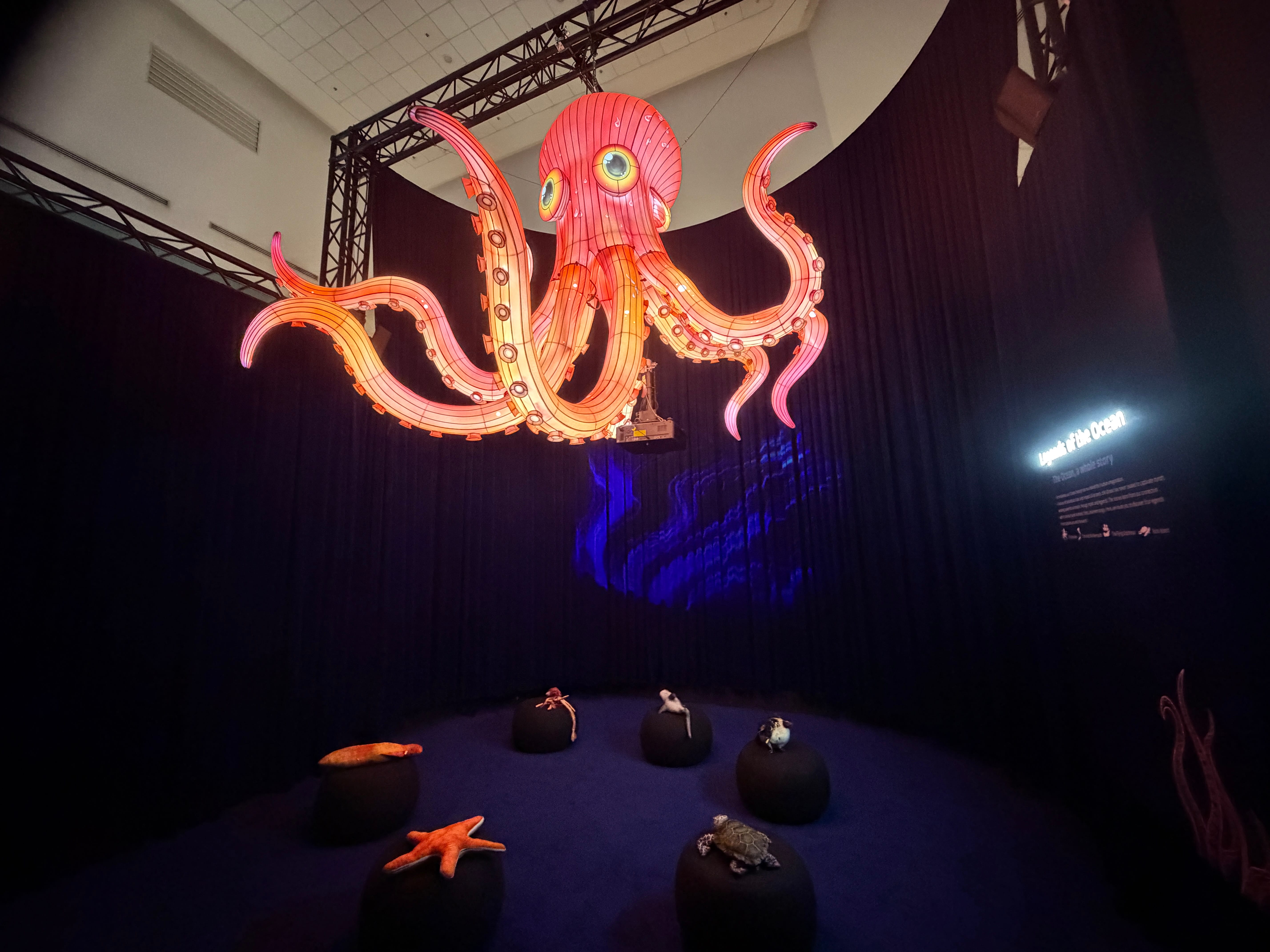 Photo of the lit-up Kraken on display 